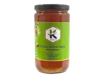 Eucalyptus Honey (2026 Guide) | Benefits, Uses & Buying Guide - KODAND® | Pure. Natural. Ethical. All Rights Reserved.
