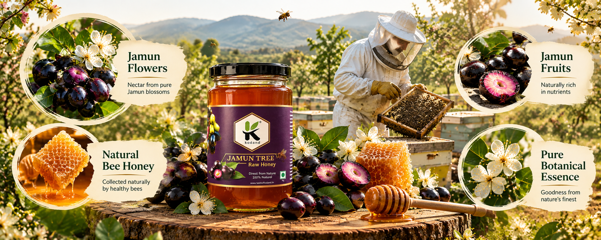 Pure Jamun Honey 1 kg | Premium Raw Indian Blackberry Honey for Wellness