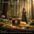 Authentic Wild Forest Honey by KODAND