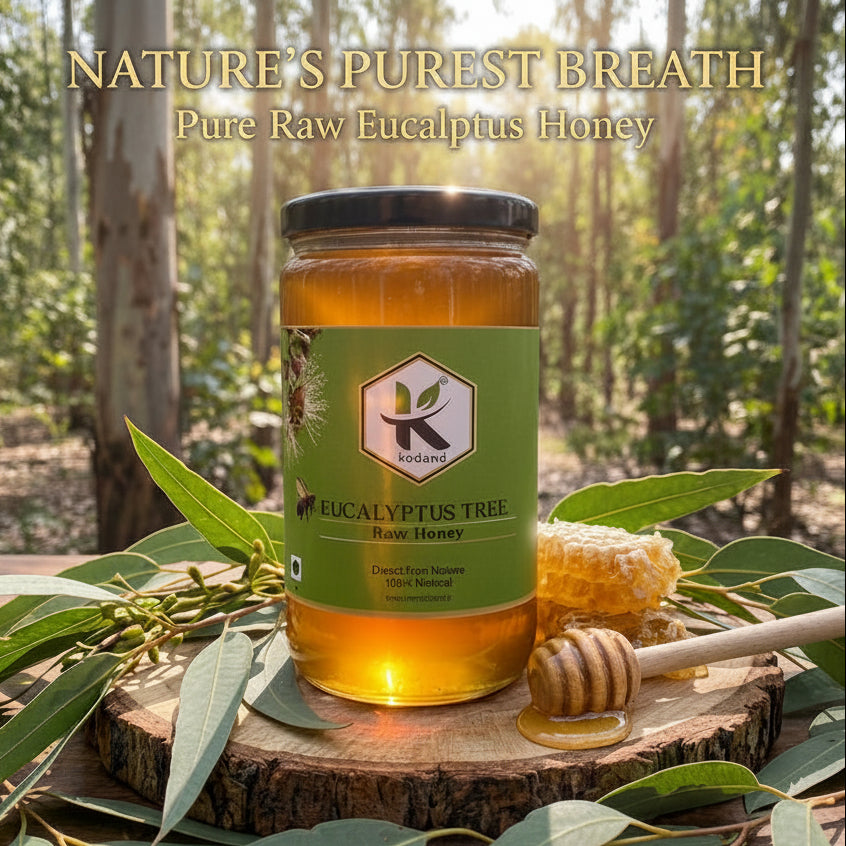 Eucalyptus Honey 1kg | Best Honey for Cough, Cold & Throat Relief | Kodand