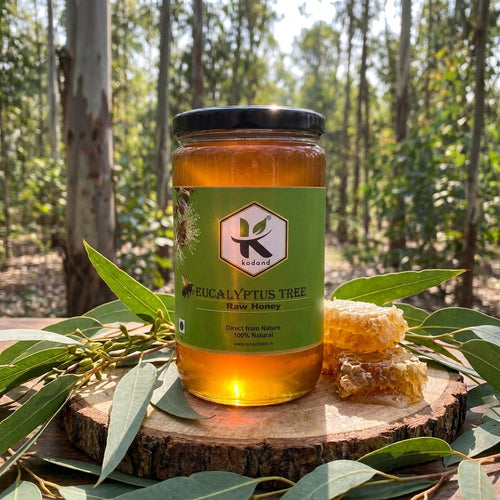 EUCALYPTUS HONEY 