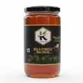 Wild Forest Honey 1 kg | Raw Multifloral Forest Honey - KODAND® | Pure. Natural. Ethical. All Rights Reserved.